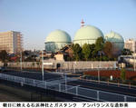 cef5a76b.jpg