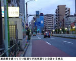 808dd34b.jpg