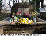 2541f988.jpg