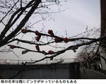 b89afe8f.jpg