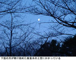 732dce9f.jpg