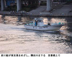 ff265051.jpg