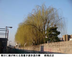 d9cd34ac.jpg