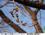 84fc6f30.jpg
