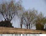 86e1f503.jpg