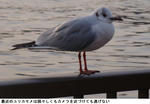 a7fd213a.jpg