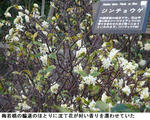 d697924d.jpg