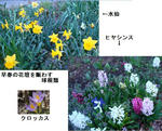 8c9f2870.jpg