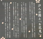 eb10596a.jpg
