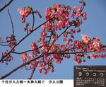5ffc0737.jpg