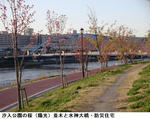 80fc58b1.jpg