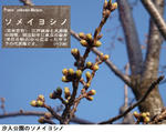 4c6f7107.jpg