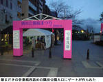 48d81b61.jpg