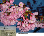 f32ccfb3.jpg