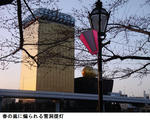 25a812ab.jpg