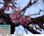 11b881a1.jpg