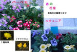 c09348e0.jpg