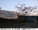 59719cf3.jpg