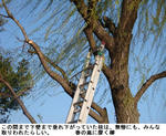 f9708ada.jpg