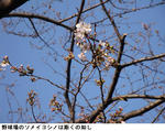 c13e4037.jpg
