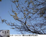 d04c4101.jpg