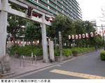 335b808d.jpg