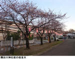 64ec031d.jpg