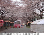 0845226e.jpg