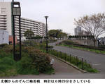 535e361d.jpg