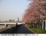 3f473811.jpg