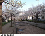 4431c069.jpg