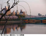c754a6e9.jpg