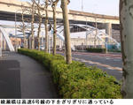 0d8d4077.jpg