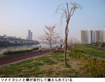 4d7028cf.jpg