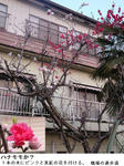 e965850e.jpg