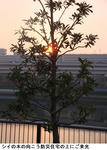8bea1043.jpg