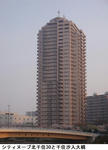 d251f535.jpg