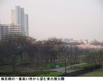 f9b519b7.jpg