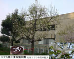 b39ef437.jpg
