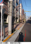 a622a0fa.jpg