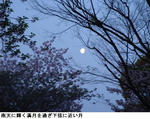 d8281213.jpg
