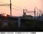 c365d789.jpg
