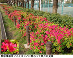 b335659e.jpg