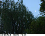 eaf9ef50.jpg