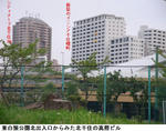 eeabaf44.jpg
