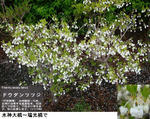 e95a3a33.jpg