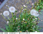 a28739aa.jpg