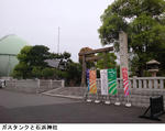 95a4455d.jpg
