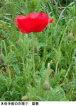 fc3027b3.jpg