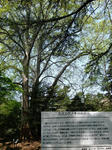d7dc8c7a.jpg
